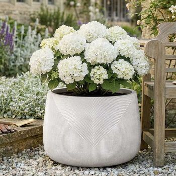 Kalo White Striped Planter Collection, 3 of 5