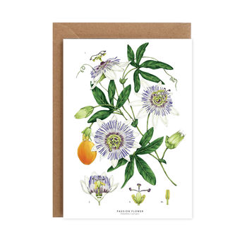 Botanical White Passion Flower Card, 2 of 2