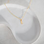 Vermeil Gold Initial Necklace, thumbnail 4 of 10