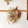 Dried Ruscus Amaranth Wreath With Bunny Tails, thumbnail 2 of 5