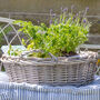 Giverny Heather Grey Willow Basket, thumbnail 1 of 6