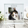 Personalised Pet Memorial Photo Crystal Token, thumbnail 4 of 6