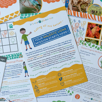 Children's Eco Activity Box: Majestic Lions, 3 of 12