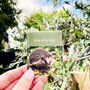 Hedgehog Gift Tea Set, thumbnail 8 of 12