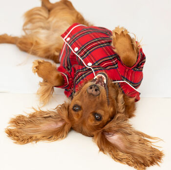 Personalised Tartan Christmas Dog Pyjamas, 5 of 12