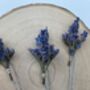 Dried Lavender Flower Hair Pins, thumbnail 7 of 8