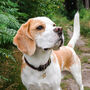Beagle Silhouette Dog Mug, thumbnail 4 of 8