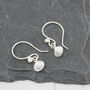 Sterling Silver Cornish Shell Earrings, thumbnail 4 of 5