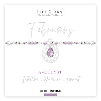 February Amethyst Birthstone Charm Bracelet Gift, 2 of 4