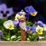 Garden Ornament Decor Worm Statue Novelty Durable Resin, thumbnail 6 of 11