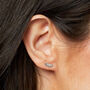 Sterling Silver Country Garden Crawler Earrings, thumbnail 1 of 5