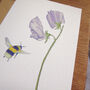 Sweet Pea And Bee Any Occasion Greetings Card, thumbnail 4 of 8