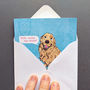 Dog Note Cards, thumbnail 4 of 11