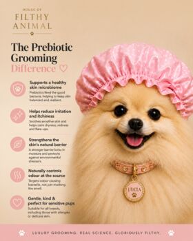 Prebiotic Luxury Dog Shampoo For Sensitive Skin, 3 of 4