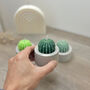 Round Barrel Cactus Candles Saguaro Cacti Candle Gift, thumbnail 7 of 10