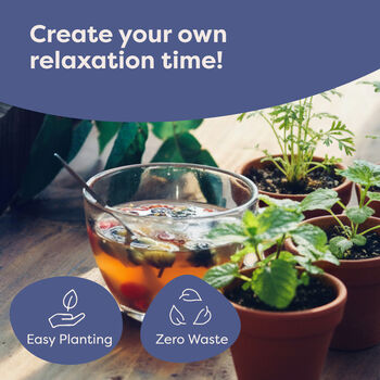 Personalised Relaxation Time Seedsticks, 9 of 11