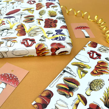 Mushrooms Of Britain Wrapping Paper Set, 6 of 9