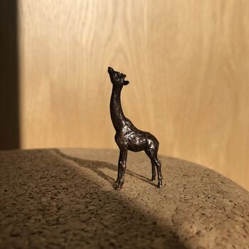 Miniature Bronze Safari, 8th Anniversary Gift Set, 7 of 11