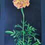 'Marigold' Large Original Handmade Botanical Study, thumbnail 5 of 12