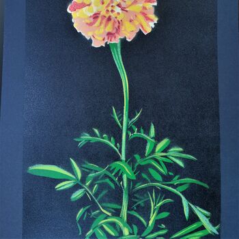 'Marigold' Large Original Handmade Botanical Study, 5 of 12