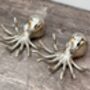 Octopus Salt And Pepper Shakers, thumbnail 1 of 2