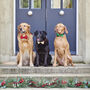 'I've Misplaced My Humans' Dog ID Tag, thumbnail 10 of 12
