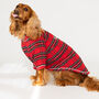 Personalised Tartan Christmas Dog Pyjamas, thumbnail 11 of 12