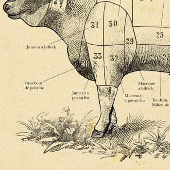 French Beef Cuts Print – Vintage Butcher Cuts Poster, 8 of 12