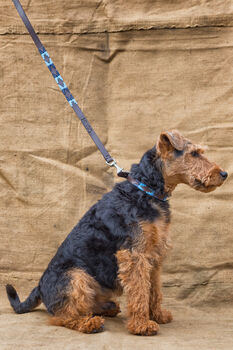 Pampeano 'Azules' Leather Dog Collar, 4 of 4