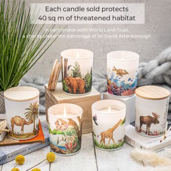 Hand Poured Floral Scented Soy Candle | Sustainable Christmas Gift, 6 of 6