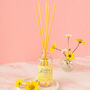 Petals And Musk Daisy Reed Diffuser – Fresh Floral Home Fragrance, thumbnail 1 of 3