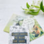 Bee Gifts: Tea Gift Set For Bee Lovers, thumbnail 6 of 12