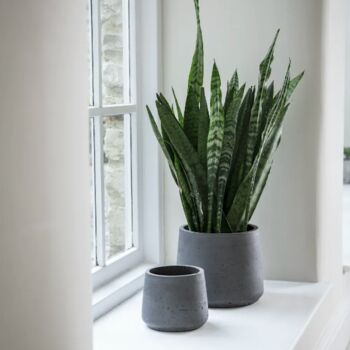 Tapered 'Stratton' Planters Set Of Two, 2 of 2