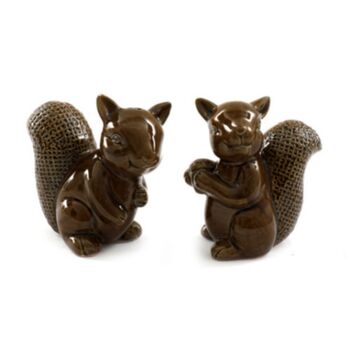 Squirrel Salt And Pepper Cruet Set, 2 of 2