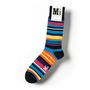 Fun Multi Stripe Fine Sock, thumbnail 1 of 2