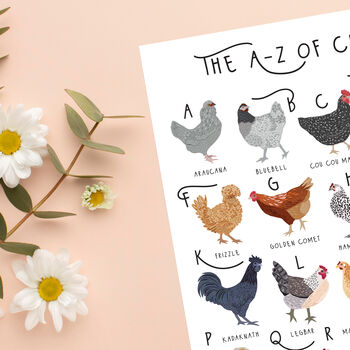 The A To Z Of Chickens Print, 5 of 6