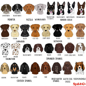 Personalised Farm Fresh Pupkins Pet Lover Sweatshirt, 7 of 11