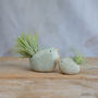 Bird Air Plant Holder In Mint Green, thumbnail 5 of 11