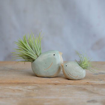 Bird Air Plant Holder In Mint Green, 5 of 11