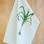 Garden Vegetable Tea Towel Gift Box, thumbnail 5 of 5