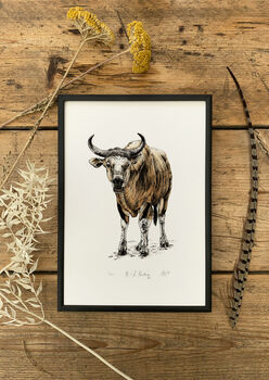 B Is For Banteng Illustration Print, 3 of 6