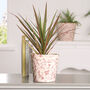 Set Of Two Red Floral Plant Pots, thumbnail 5 of 6