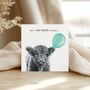Have A Moo Velous Birthday Card, thumbnail 1 of 6