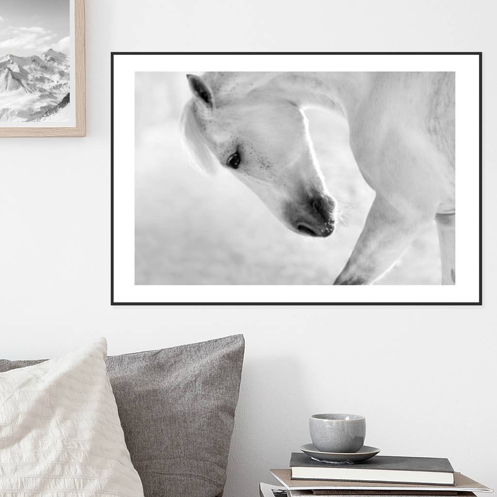 grey horse photographic art print by magpie living | notonthehighstreet.com