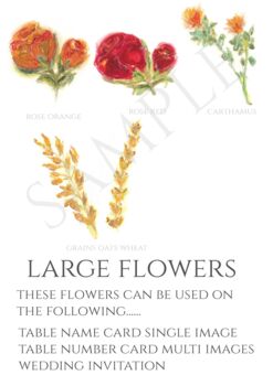 Pack 12 Yarrow Original Personalised Wedding Invitations, 7 of 7