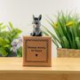 Donkey Worry, Be Happy Tiny Little Gifts, thumbnail 1 of 2
