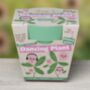 Childs Grow Your Own Dancing Plant Kit, thumbnail 1 of 5