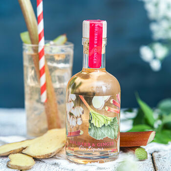 Rhubarb And Ginger Gin Liqueur, 2 of 6