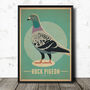 Rock Pigeon Birds Retro Style Poster Print, thumbnail 1 of 2