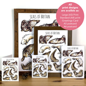 Seals Of Britain Greeting Card, 5 of 7